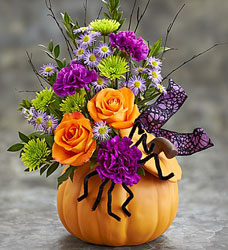 Halloween Treats Flower Power, Florist Davenport FL